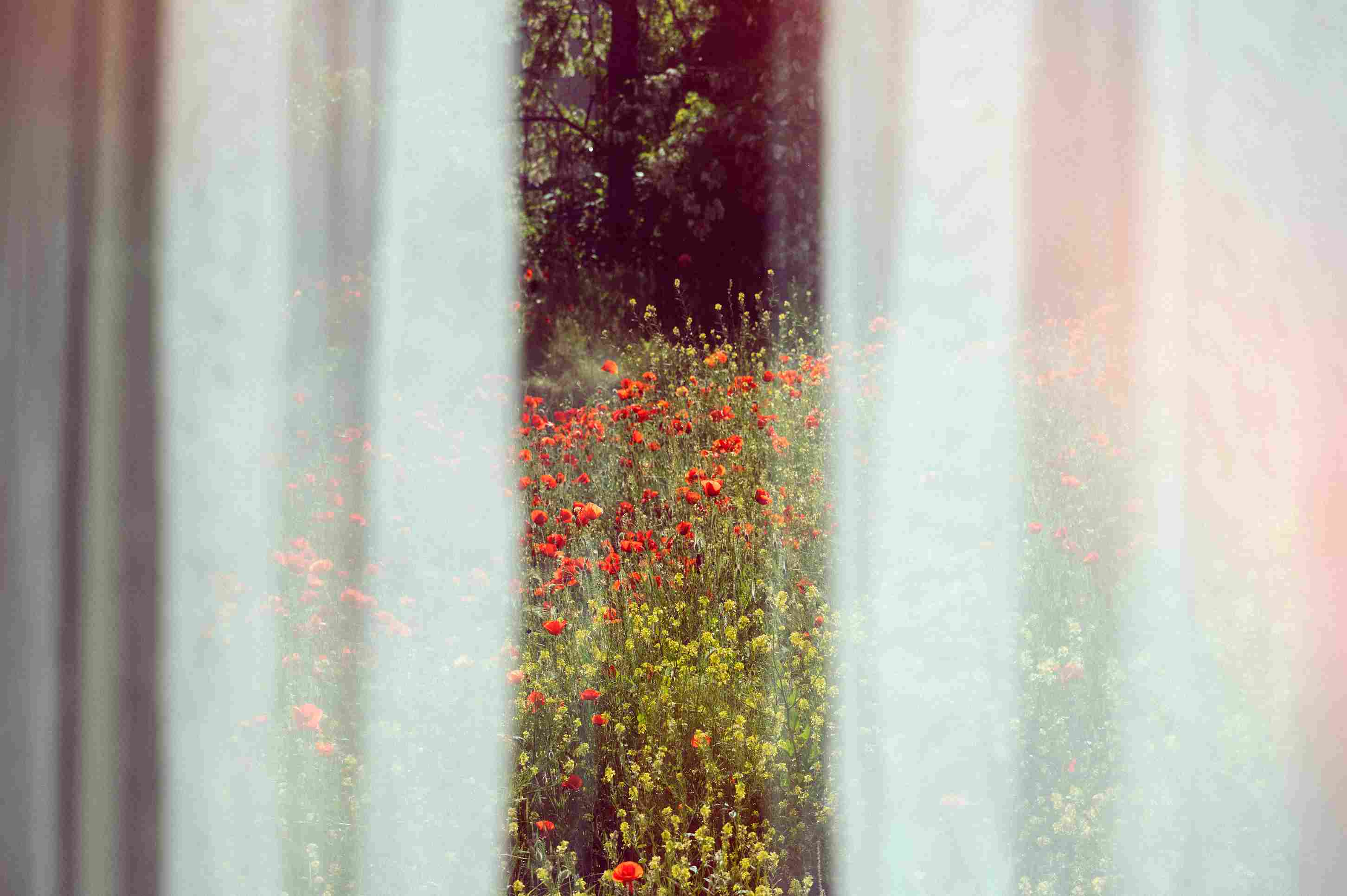 cinematic-film-photography-example.png